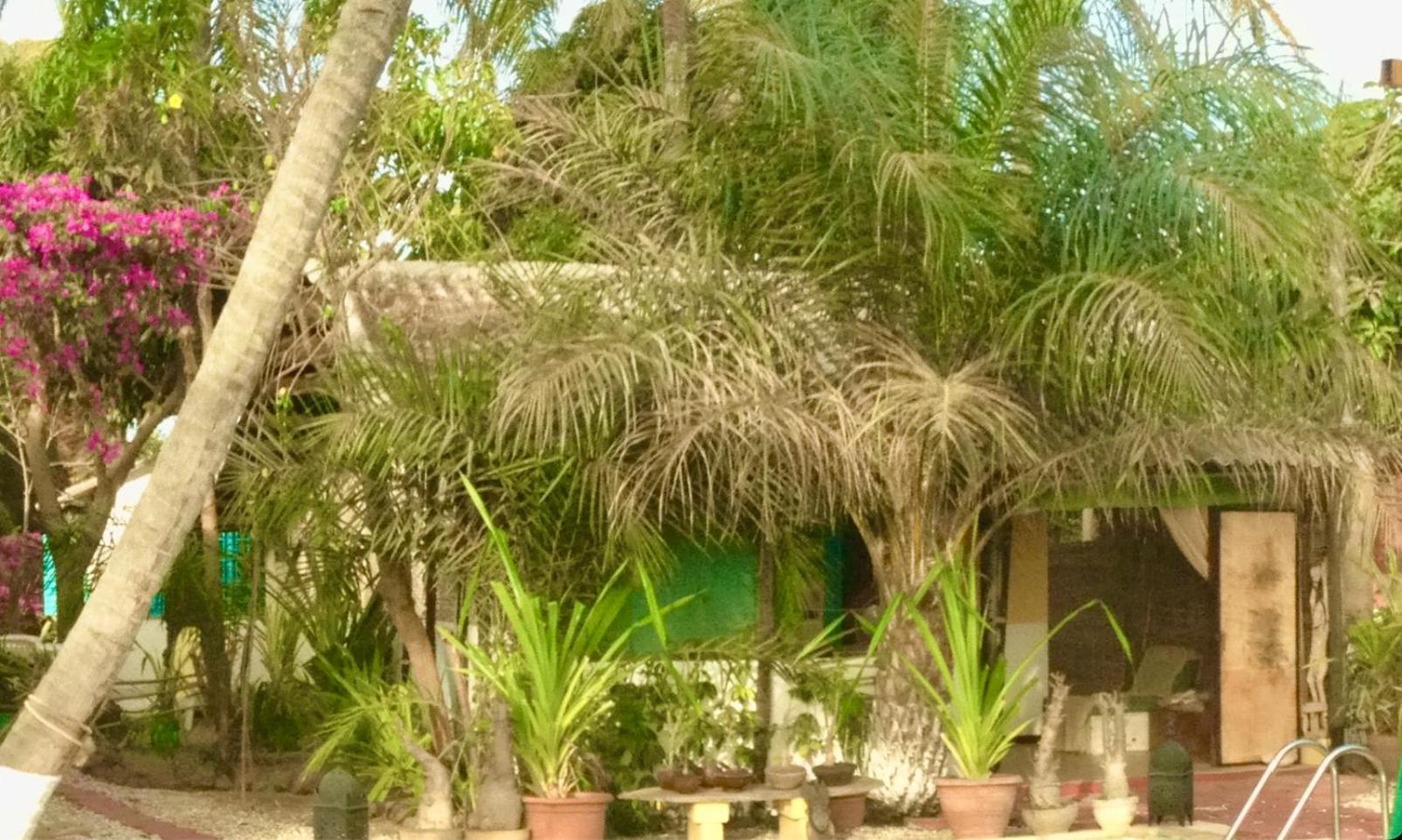 Ecolodge Safari Cap Skirring Extérieur photo
